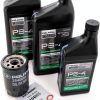 Powersports Authority 5w-50 Engine Oil for Polaris RZR XP-5