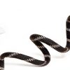 WePet Dog Training Slip Leash, No Pull, Durable Reflective Lead, Puppy Heavy Duty Loop Rope, Comfortable Handle, 6 ft, 3/8 inch, diam. Black/White-3
