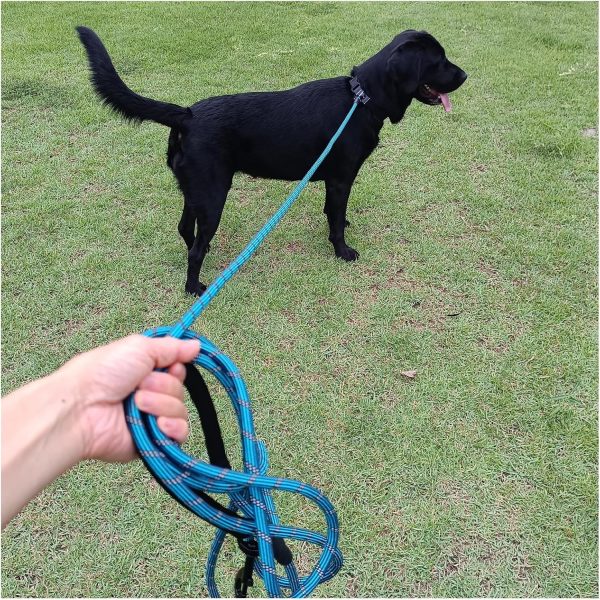 Dog Leash BTINESFUL Long Training 30ft Blue Reflective Rope-7