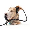 WePet Dog Training Slip Leash, No Pull, Durable Reflective Lead, Puppy Heavy Duty Loop Rope, Comfortable Handle, 6 ft, 3/8 inch, diam. Black/White-4