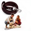 Leather Dog Leash ADITYNA 6 ft 3/4 inch Brown – Heavy Duty for Dogs-1