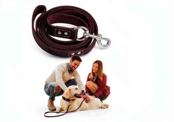 Leather Dog Leash ADITYNA 6 ft 3/4 inch Brown – Heavy Duty for Dogs-1