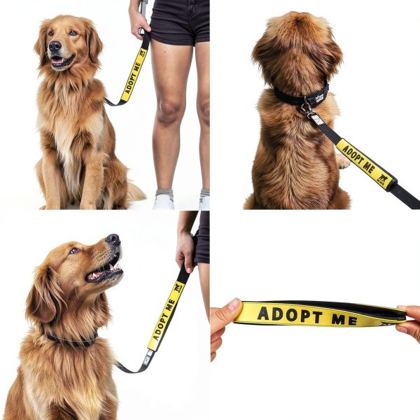 Tuff Pupper Waterproof Leash Sleeve – Dual‑Sided Message, Neoprene-4